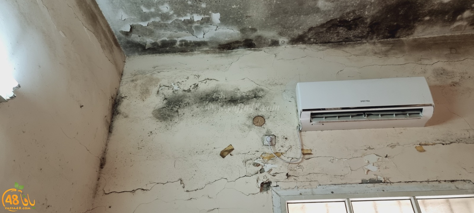 WhatsApp Image 2021-04-21 at 5.17.21 PM (1).jpg